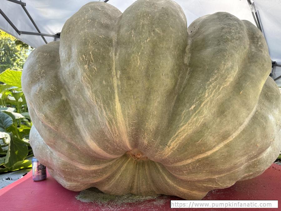 fruitImages/872 Rose 2025B.jpeg